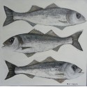 Peinture poissons Bar- 80x80 cm